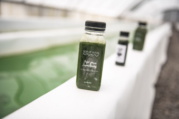 Jugo para Superheroes tiene 10 gramos de SpirulinaViva